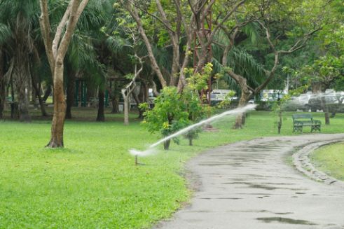Sprinklers