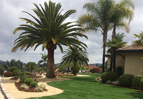 IMG_0300 Landscaping
